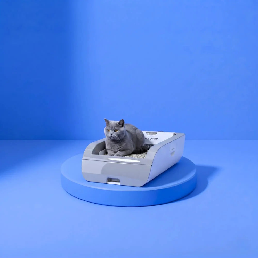 Helios - self-cleaning cat litter box - controlled via APP