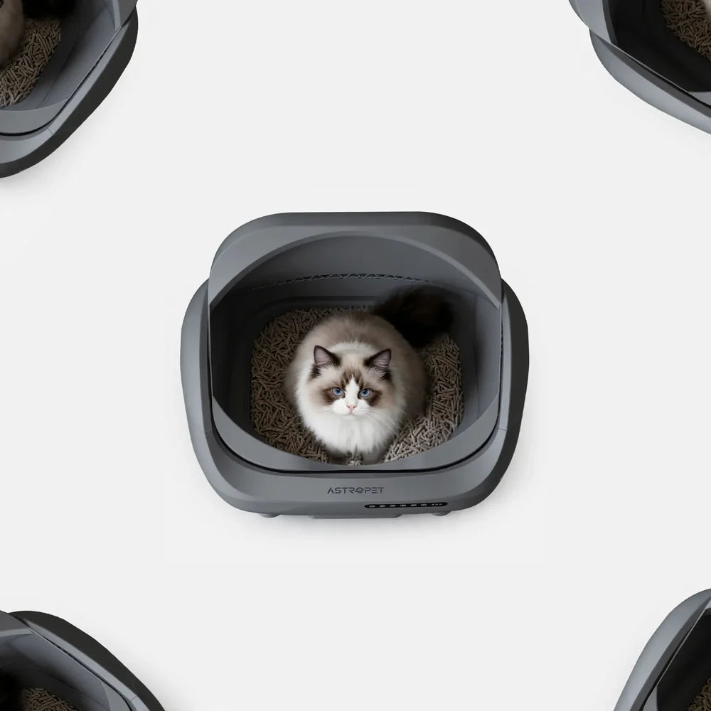 Venus - Self-cleaning litter box