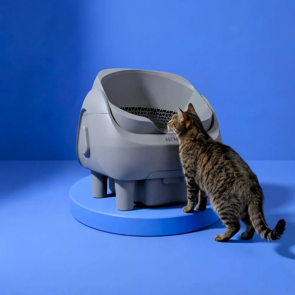 Venus - Self-cleaning litter box