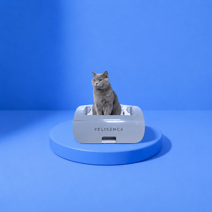 Helios - self-cleaning cat litter box
