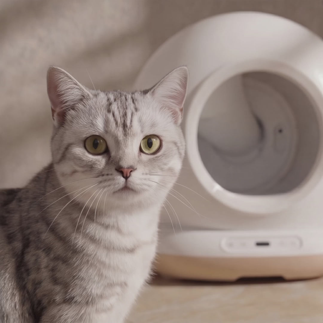 Neptune - self-cleaning cat litter box